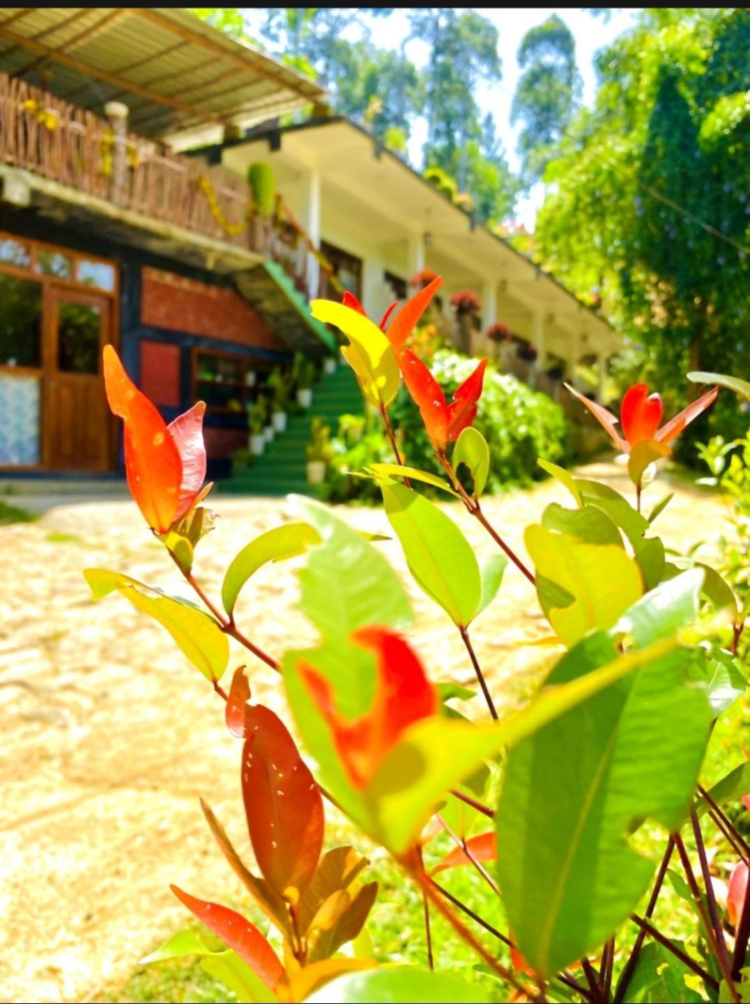 Blissful Haven Hotel Ella Ngoại thất bức ảnh