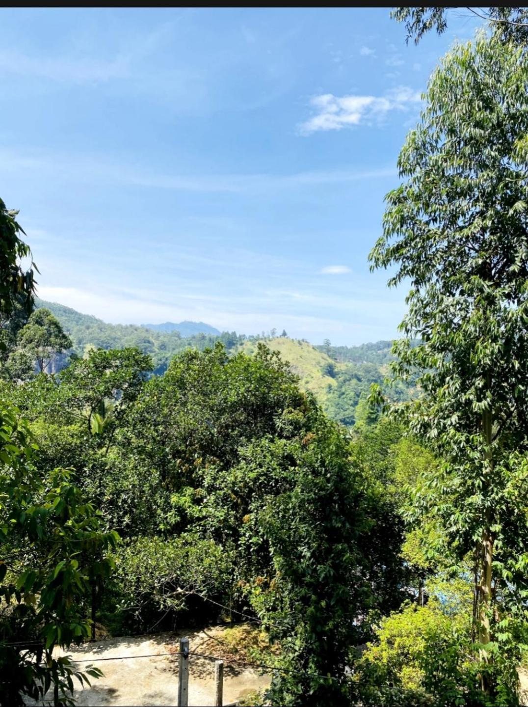 Blissful Haven Hotel Ella Ngoại thất bức ảnh