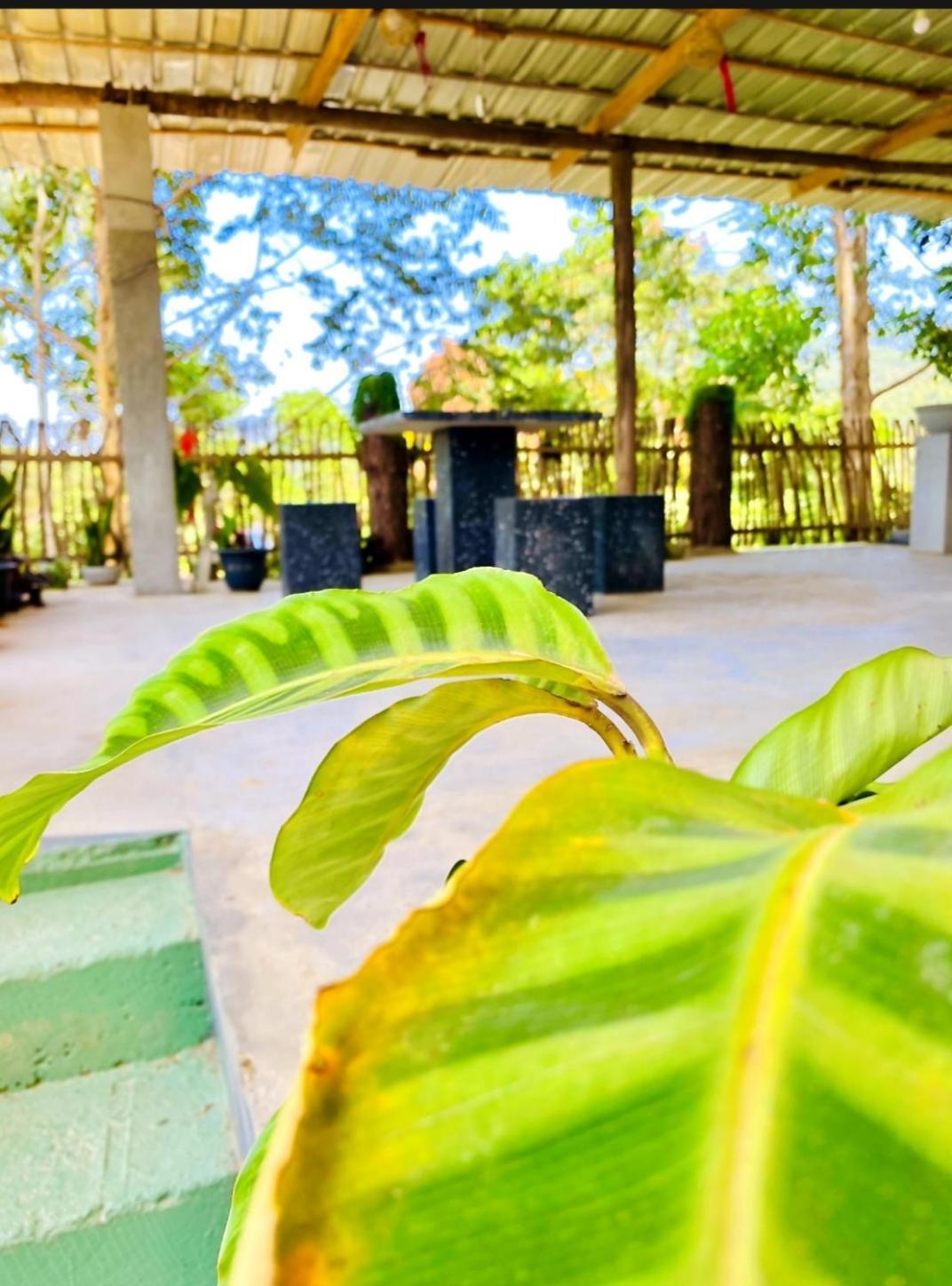 Blissful Haven Hotel Ella Ngoại thất bức ảnh