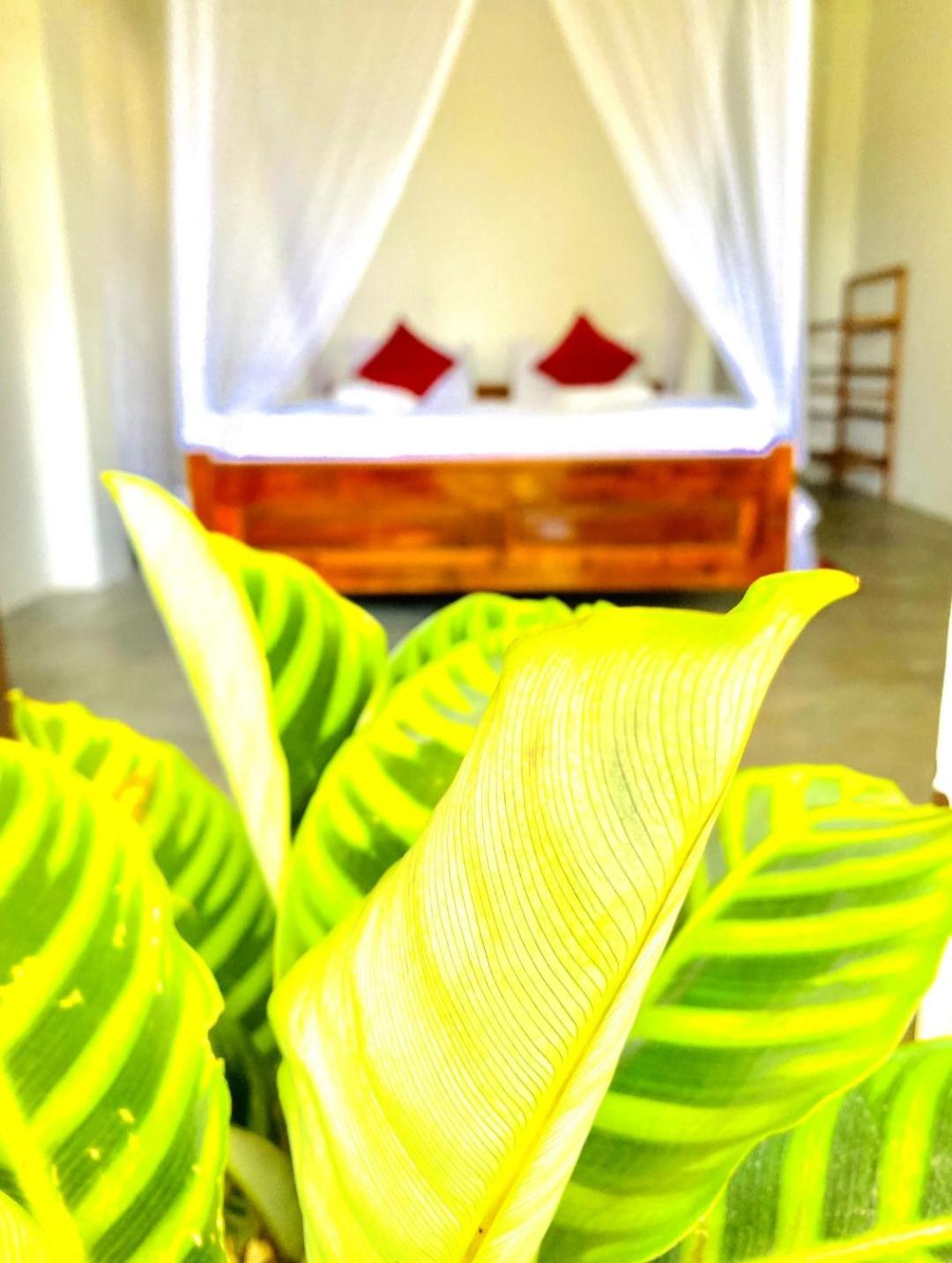 Blissful Haven Hotel Ella Ngoại thất bức ảnh